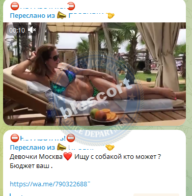 Лысак Анна - сутенерша 1985 г.р. Лысак Анна - сутенерша 1985 г.р.