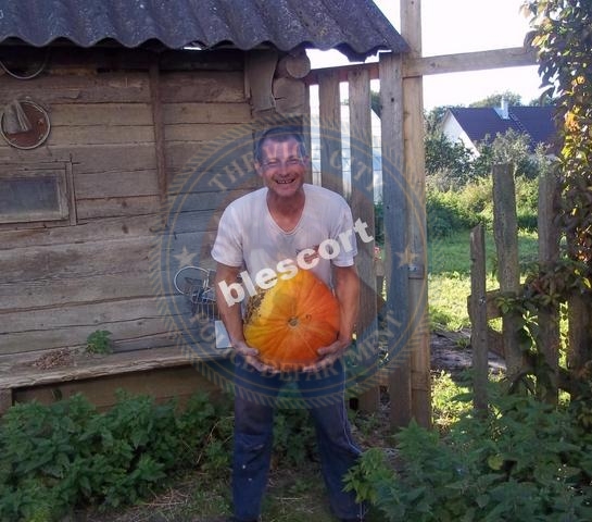Арестова Анастасия - эскортница 2003 г.р. Арестова Анастасия - эскортница 2003 г.р.