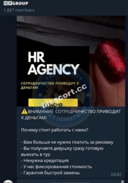 Сутенеры HR GROUP