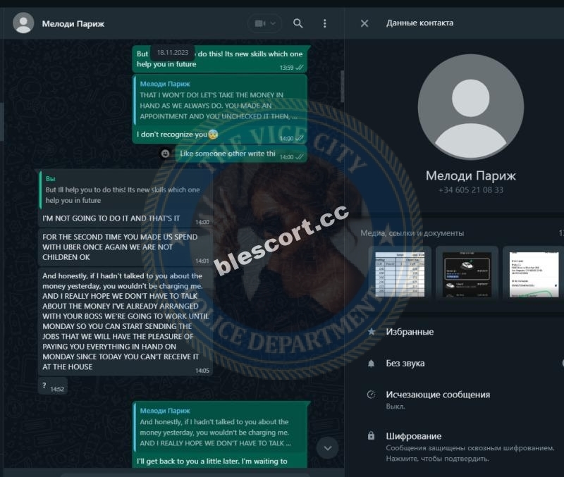 Дуэт бразильских проституток в ЧС Дуэт бразильских проституток в ЧС