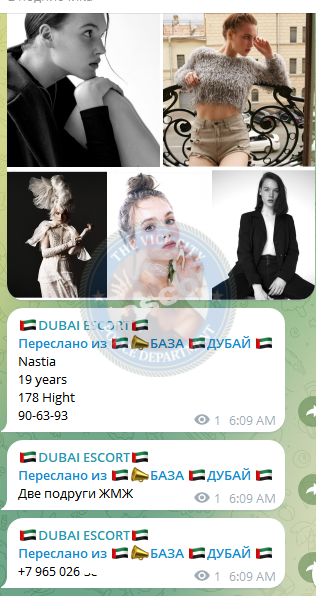 Фомина Анастасия