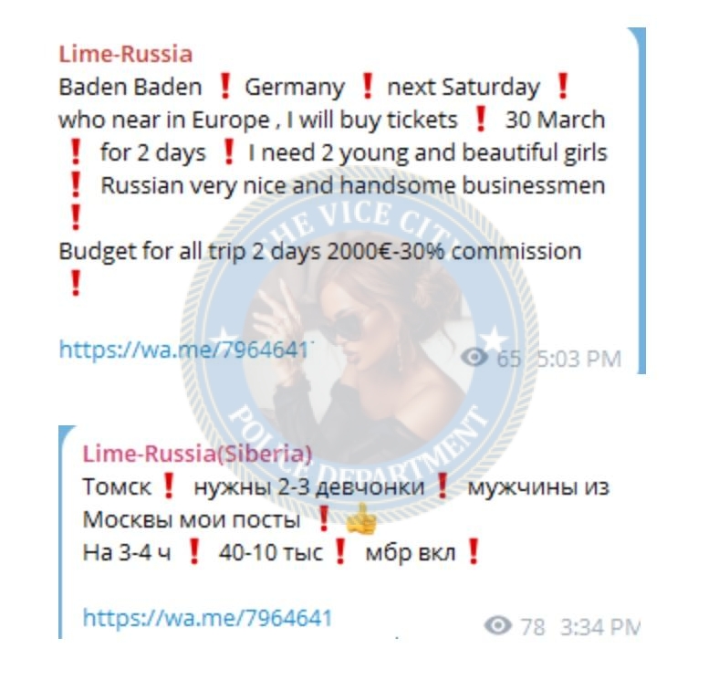 Биктимирова Юлия - сутенерша 1991 г.р. Биктимирова Юлия - сутенерша 1991 г.р.