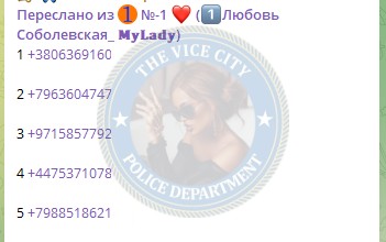 Симонова Анна - сутенер 1996 г.р. Симонова Анна - сутенер 1996 г.р.