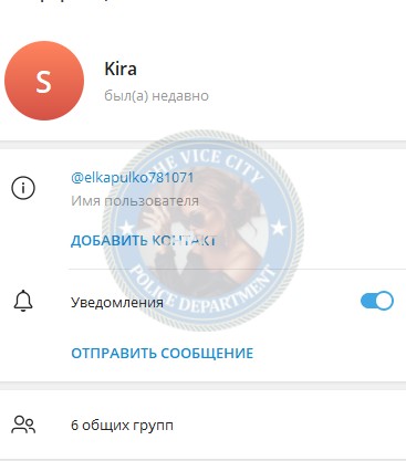 Шишкова Александра - эскортница 2020 г.р. Шишкова Александра - эскортница 2020 г.р.