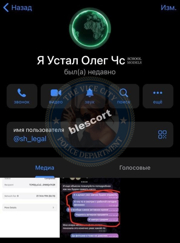 ЧС – эскорт агентство "Green Lion" ЧС – эскорт агентство "Green Lion"