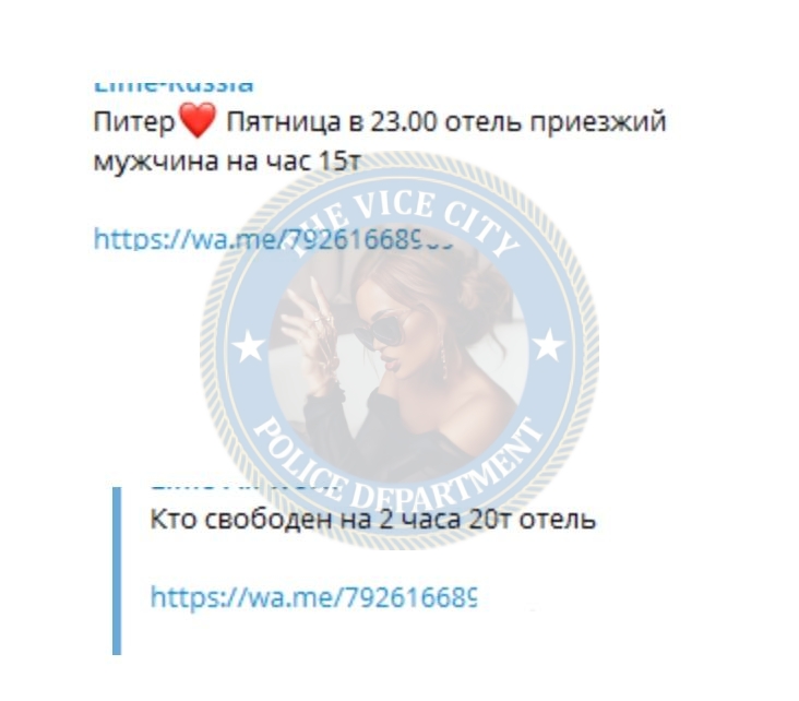 Слыш Анна - сутенерша 1991 г.р. Слыш Анна - сутенерша 1991 г.р.