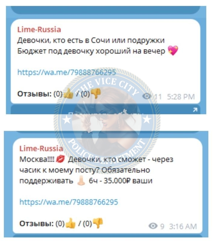 Ибрагимова Луиза - сутенер 1996 г.р. Ибрагимова Луиза - сутенер 1996 г.р.