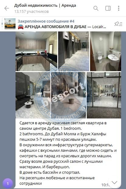 Братья Садывакасовы - эскорт сутенеры Братья Садывакасовы - эскорт сутенеры