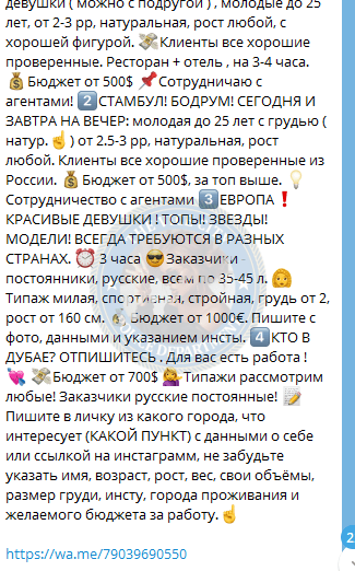 Ципулина Анна - сутенер 1986 г.р. Ципулина Анна - сутенер 1986 г.р.