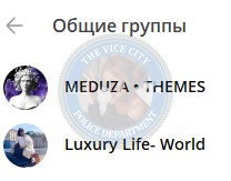 Ибрагимова Луиза - сутенер 1996 г.р. Ибрагимова Луиза - сутенер 1996 г.р.