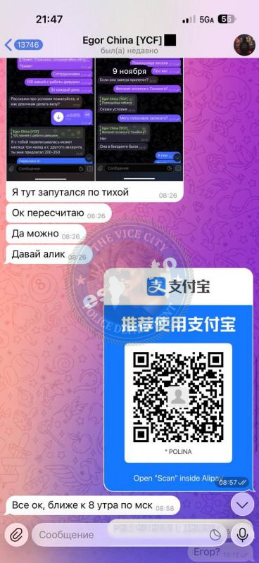 Your Chinese Family - сутенер-кидала Your Chinese Family - сутенер-кидала