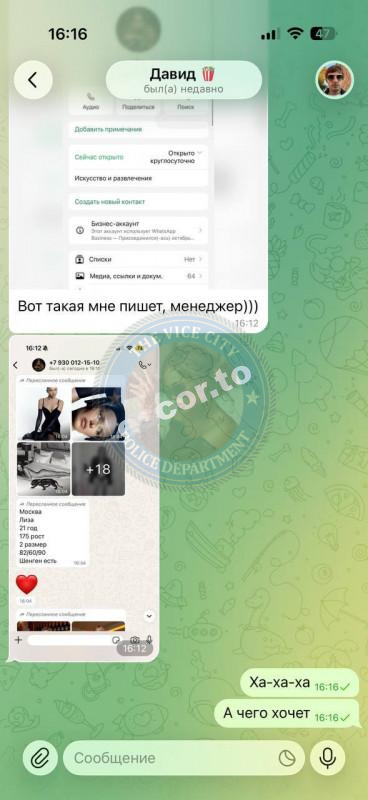 Юлия Павленко - сутенер ЧС Юлия Павленко - сутенер ЧС