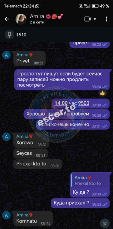 Мирзаева Азиза - ЧС эскорта Мирзаева Азиза - ЧС эскорта